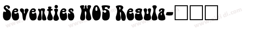 Seventies W05 Regula字体转换